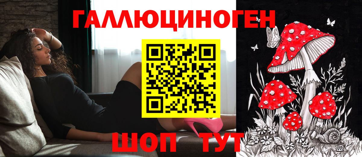 Галлюциногенные грибы ЛСД  Псилоцибиновые грибы ЛСД  Кулебаки  Вход с VPN 